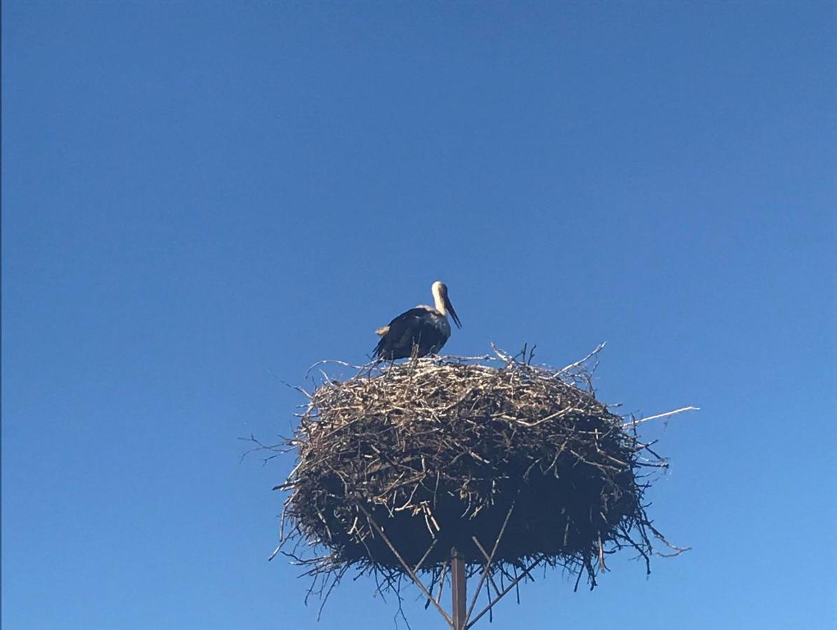 Gosciniec Twoje Mazury Nad Jeziorem Sniardwy Tuz Obok Plazy Nowe Guty Exteriér fotografie