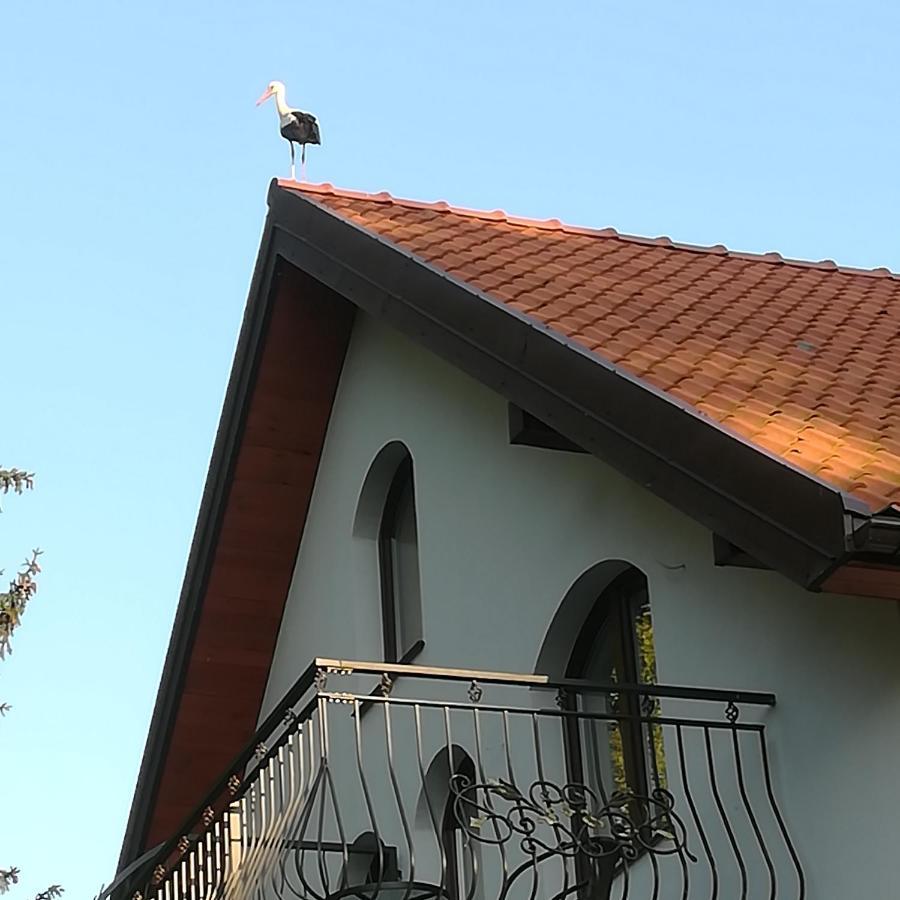 Gosciniec Twoje Mazury Nad Jeziorem Sniardwy Tuz Obok Plazy Nowe Guty Exteriér fotografie